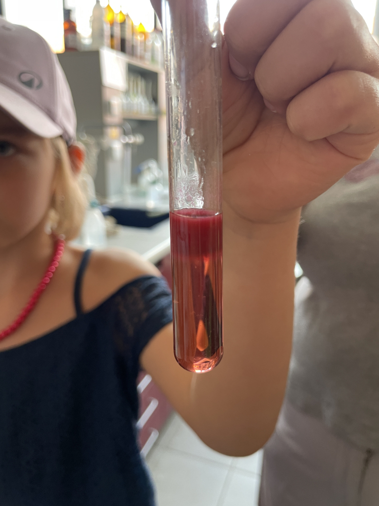 Vědecký příměstský tábor