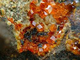 Mineralogicko-paleontologická víkendovka Kralupy nad Vltavou