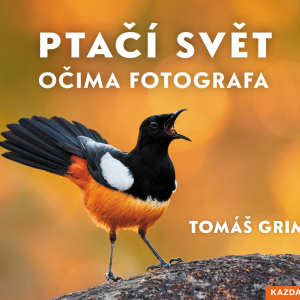 Ptačí svět očima fotografa