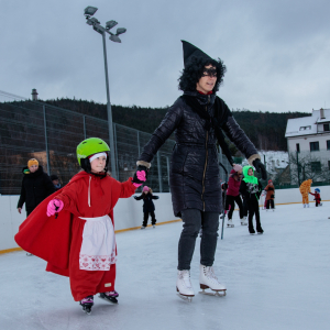 Fotky z karnevalu na ledě